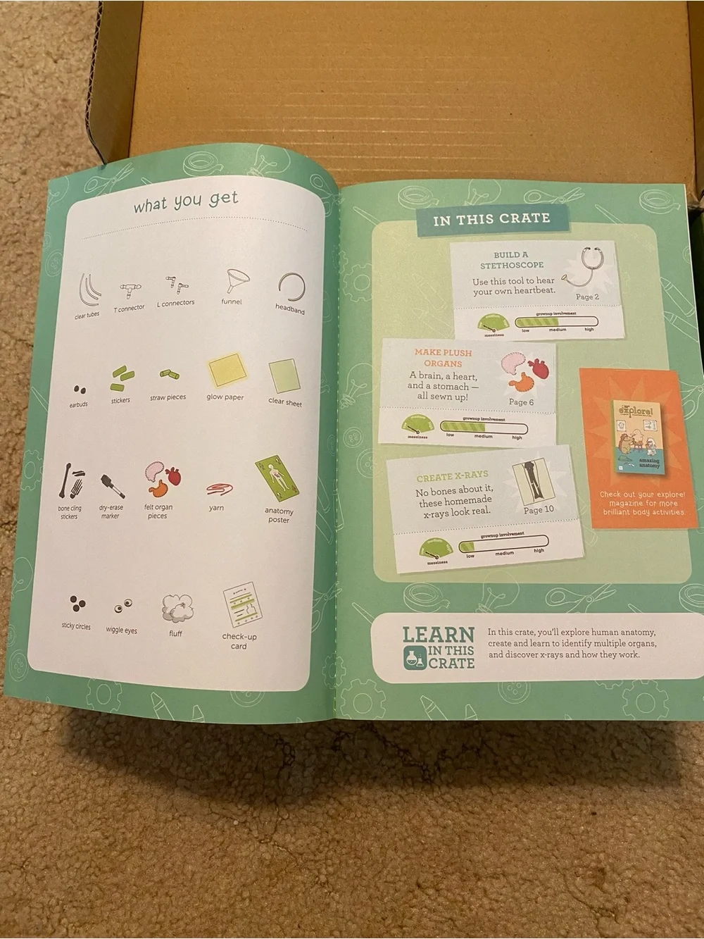 NEW - Kiwi Crate My Body & Me Educational Kit